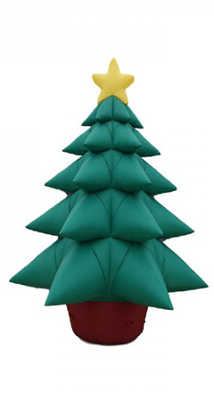 Sapin de noel dans votre jardin